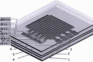 用于水体重金属离子测定的数字微流控芯片系统及方法