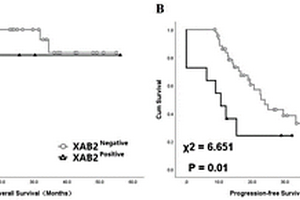 XAB2蛋白作为卵巢癌预后和/或预测铂类耐药标志物