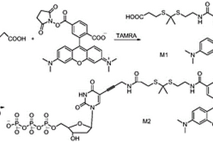 硫代缩酮连接单元的合成及其在DNA测序中的用途
