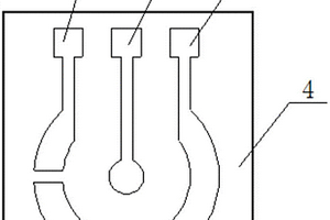 基于石墨烯和纳米颗粒修饰的电化学葡萄糖传感器及应用