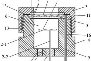 电化学pH传感器