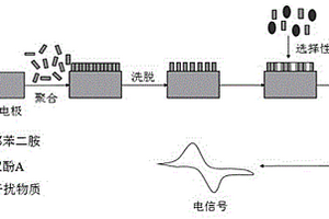 双酚A分子印迹电化学传感器的制备方法