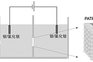 采用电化学方法评估PATP-Au-MTI/AAO异质结膜的方法