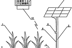 带太阳能光伏发电向化学传感器供电的肥水调控装置