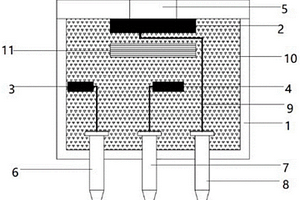 基于抗干扰敏感电极的电化学氨气传感器