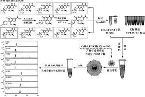 检测神经鞘氨醇己三糖苷的多通道质谱衍生试剂及其制备方法与应用