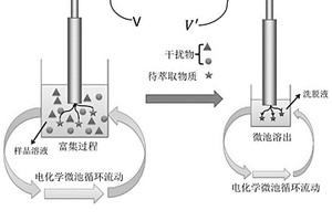 循环式电化学萃取装置及其应用