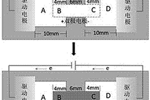 甲胎蛋白双极电极纸芯片电致化学发光传感器的构建