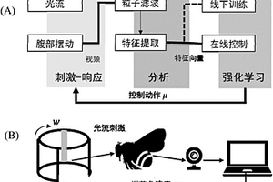 基于虚拟现实和强化学习的熊蜂机器人摆腹控制方法