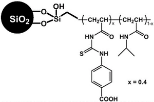 富集检测磷酸化蛋白的方法