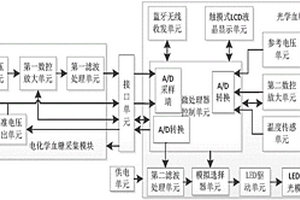 个体化血糖浓度检测装置及其数据处理方法