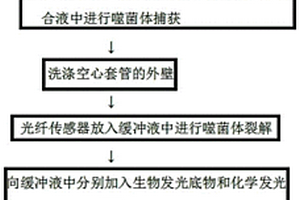 基于光纤传感器的食源性致病菌检测方法