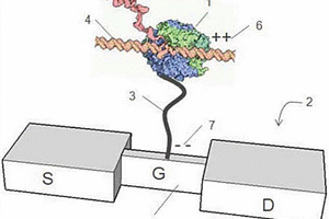 生物化学激活的电子装置