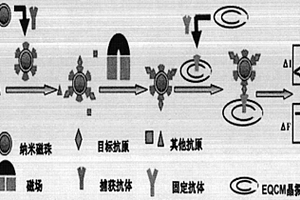 病原微生物的快速检测方法及检测设备