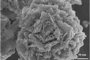 花状金－银纳米复合物电化学传感器及其制备方法与应用