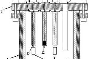矿物高温浸出电化学实验装置