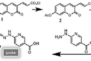 高荧光量子产率双光子Zn<sup>2+</sup>检测荧光分子探针及其制备方法、应用