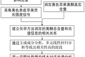 基于荧光光谱的苹果黄酮含量无损检测方法