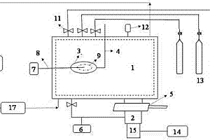 制备石墨烯、六角氮化硼等薄膜材料的化学气相沉积装置