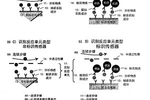 实时连续检测装置