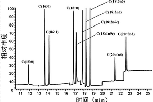 气相色谱、质谱联用技术检测线虫中脂肪酸含量的方法