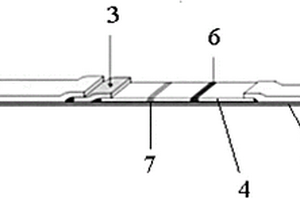 基于均相化学发光技术的快速诊断试纸条
