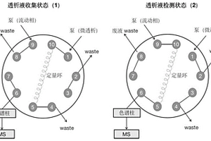 透析液中神经递质的检测方法