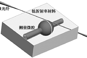 耦合微腔光子分子的生物化学传感器