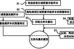 脑瘤MIB-1指数范围检测方法