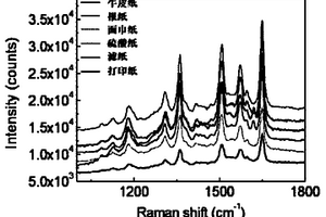 表面增强拉曼检测试纸及其应用