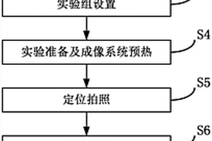 通过超弱生物光子成像系统检测化妆品成分致敏性的方法