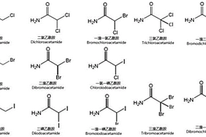 同时检测饮用水中13种卤代酰胺类消毒副产物的方法