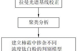 基于拉曼光谱检测柿霜中钛白粉含量的判别方法