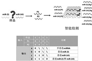 基于银纳米簇的逻辑门的构建及其在智能检测中的应用