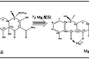 基于高活性MgO对四环素类抗生素可视化检测的方法