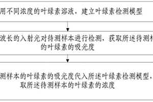 叶绿素含量的检测装置及方法