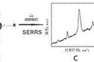 基于表面增强共振拉曼光谱的TNT检测方法