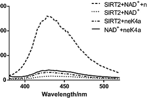 荧光探针及在检测SIRT2酶活性中的应用