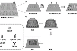 光子晶体生物芯片及其蛋白检测方法