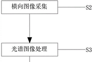 基于无人机多光谱图像的荔枝叶片氮磷钾含量检测方法