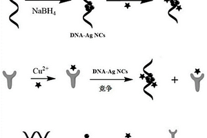 基于铜离子介导的银纳米簇荧光检测草甘膦的方法