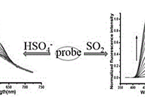 比率型检测HSO4-离子和SO2及其衍生物的双功能荧光分子探针