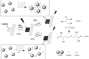 负载金纳米粒子的铜离子比色检测试纸