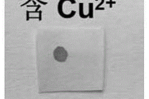 高选择性检测铜（II）离子的试纸及其制备方法