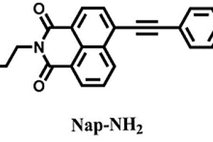 检测溶酶体极性变化的荧光探针及其制备方法和应用