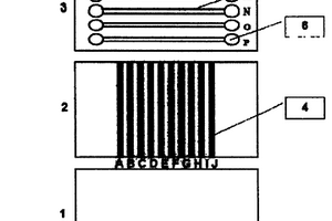 凝胶包被为基础的微流控化学传感阵列芯片