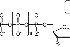 用于生产带标签的核苷酸的化学方法