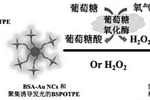 基于聚集诱导发光性质的荧光比率探针及其过氧化氢和葡萄糖检测应用