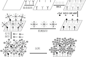 基于双纳米金探针检测标志物的蛋白芯片