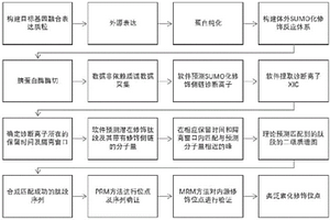 基于高精度质谱的蛋白类泛素化修饰位点检测方法及应用